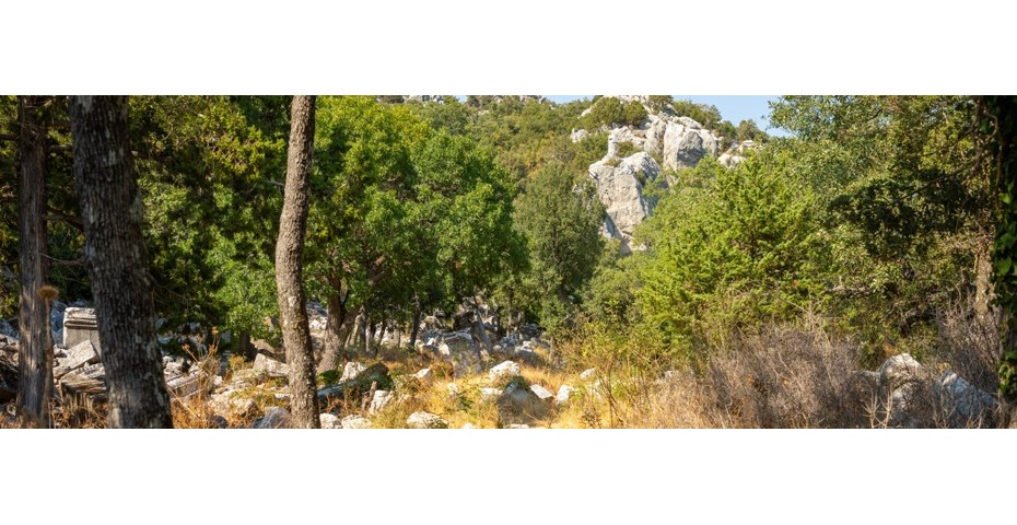 Peut-on bivouaquer autour de Toulon en tente de toit ?